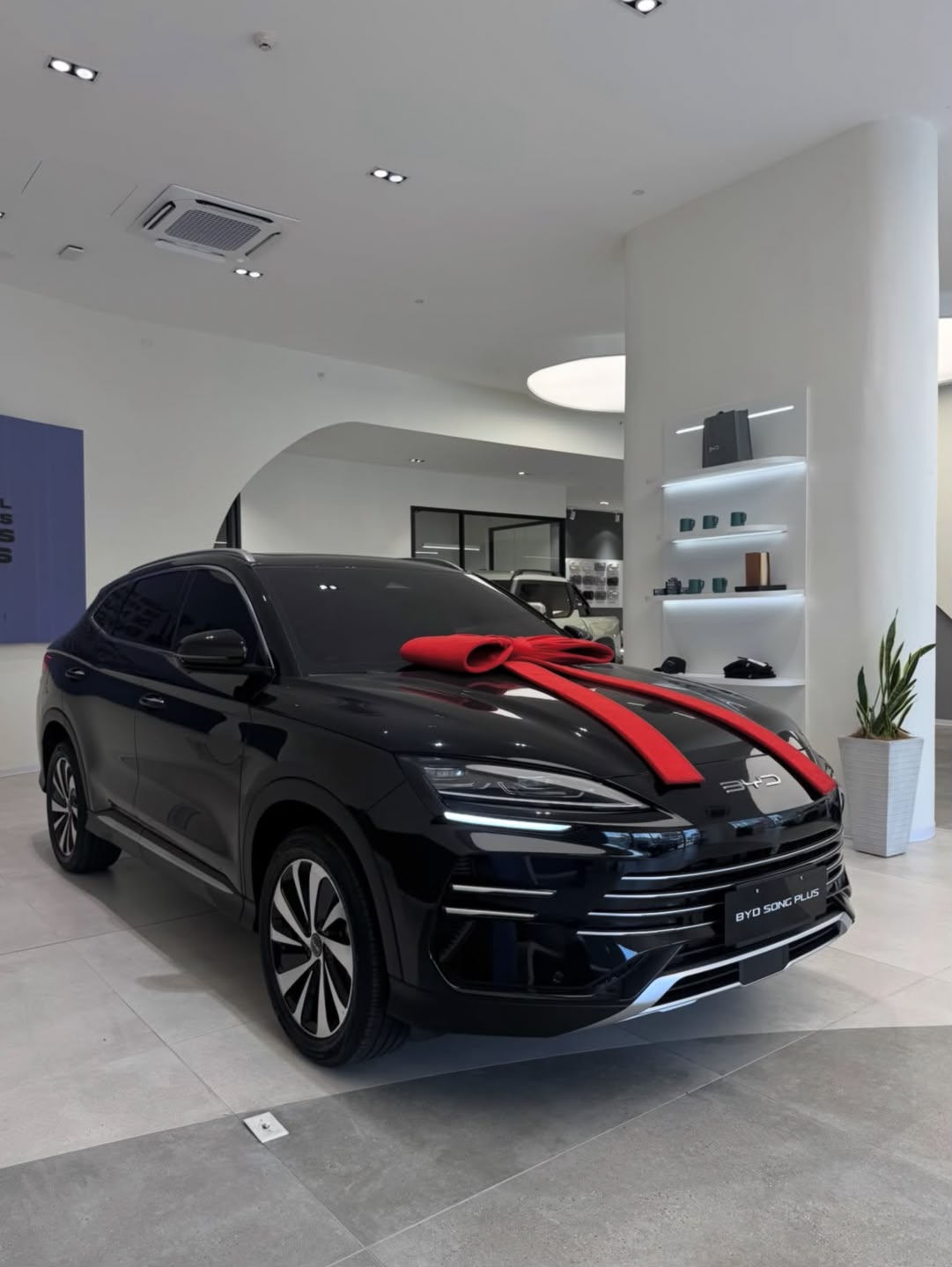 BYD Song Plus DM-i For Sale - Image 2