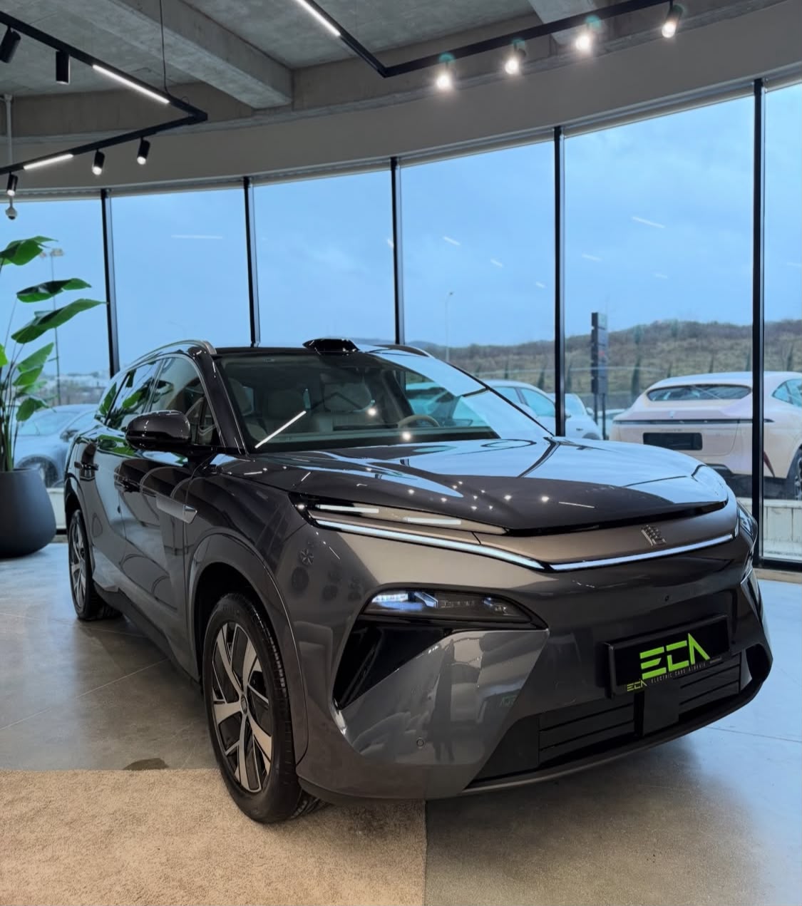 BYD Tang L For Sale - Image 2